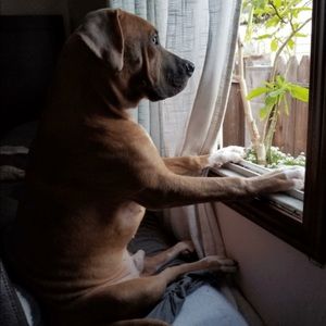 Meet your Posher, Benjamin